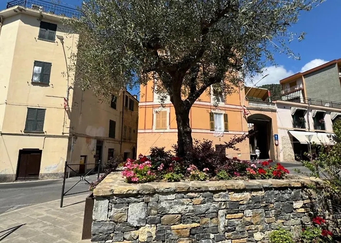 Πανσιόν Fiori Di Ulivo Taggia