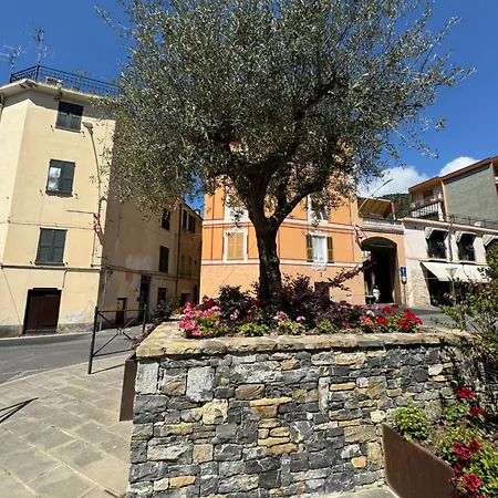 招待所 Fiori Di Ulivo 塔贾